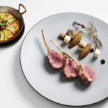 Terborght Nourriture