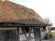 Wirtshaus am Freilandmuseum outside