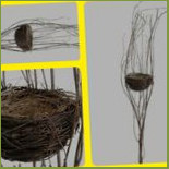 Boerderij De Gloepe Diffelen Comida