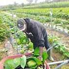 Réussir En Afrique/idées, Opportunités Et Conseils food