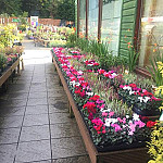 Treborth Garden Centre outside