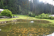 Würzbachtaler Forellengrill outside