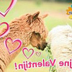 Hof Van Eckberge Comida