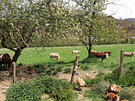 Ferme Auberge Auzkia Aldudes outside