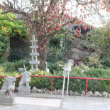 Délices D'asie Nourriture