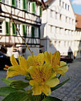 Frau Hopf Im Schloßcafé outside