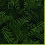 Tapijn Brasserie À l'intérieur