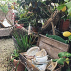 Kitchen Garden inside