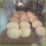 Davidels Ploegsteert Food