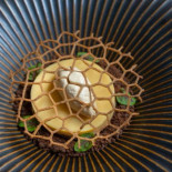 Old Skool Nourriture