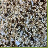 Eetboutique Boterbloem Comida