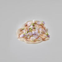 Mugaritz food