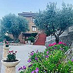 Monte Degli Ulivi Country House outside