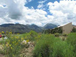 Desert Sage outside