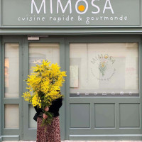 Mimosa food