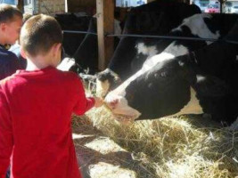 Wright's Dairy Farm And Bakery food