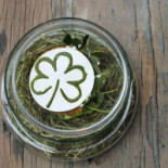 Hofke Van Bazel Comida