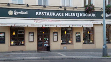 Mlsnej Kocour outside