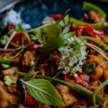 Tiwya Rotterdam Essen