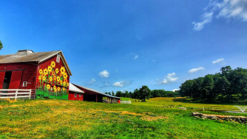 Sinon Farm food