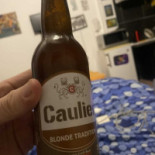 Saint-jacques Nourriture