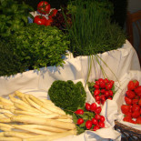 Artisauce Nourriture