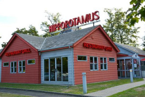 Hippopotamus food