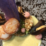 Wildthout Nourriture