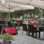 Wildthout Nourriture