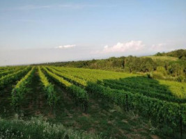 Agriturismo Le Tere Ruse Di Mombaruzzo food