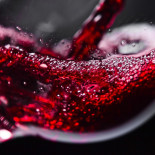 De Rooie Kater Eelde Nourriture