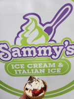 Sammy's Ice Cream And Italian Ice food