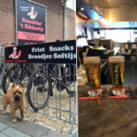 Snackbar 't Bikkertje Nourriture