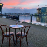 Scheepskameel Comida