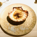 Willem Hiele Nourriture