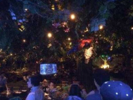 Rainforest Cafe inside