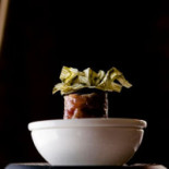 The Cellar Mechelen Nourriture