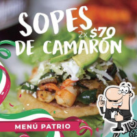 Santo Pez food