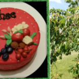 Theetuin De Fruithoeve Nourriture