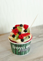 Froyo Earth food