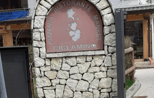 Ciclamino food