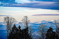 Bergwirtschaft Tiefmatt - Restaurant food