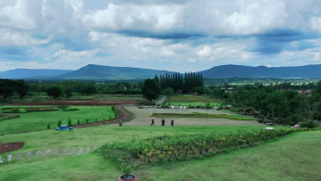 Sugavia Healthy Land food