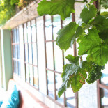 Jack Dish Extérieur