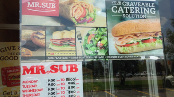 Mr.sub food