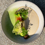 Rizom À l'intérieur