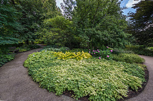 The Morton Arboretum