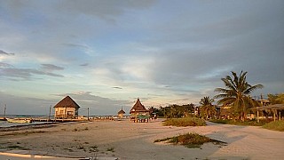 La Palapa