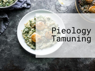 Pieology Tamuning