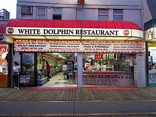 White Dolphin